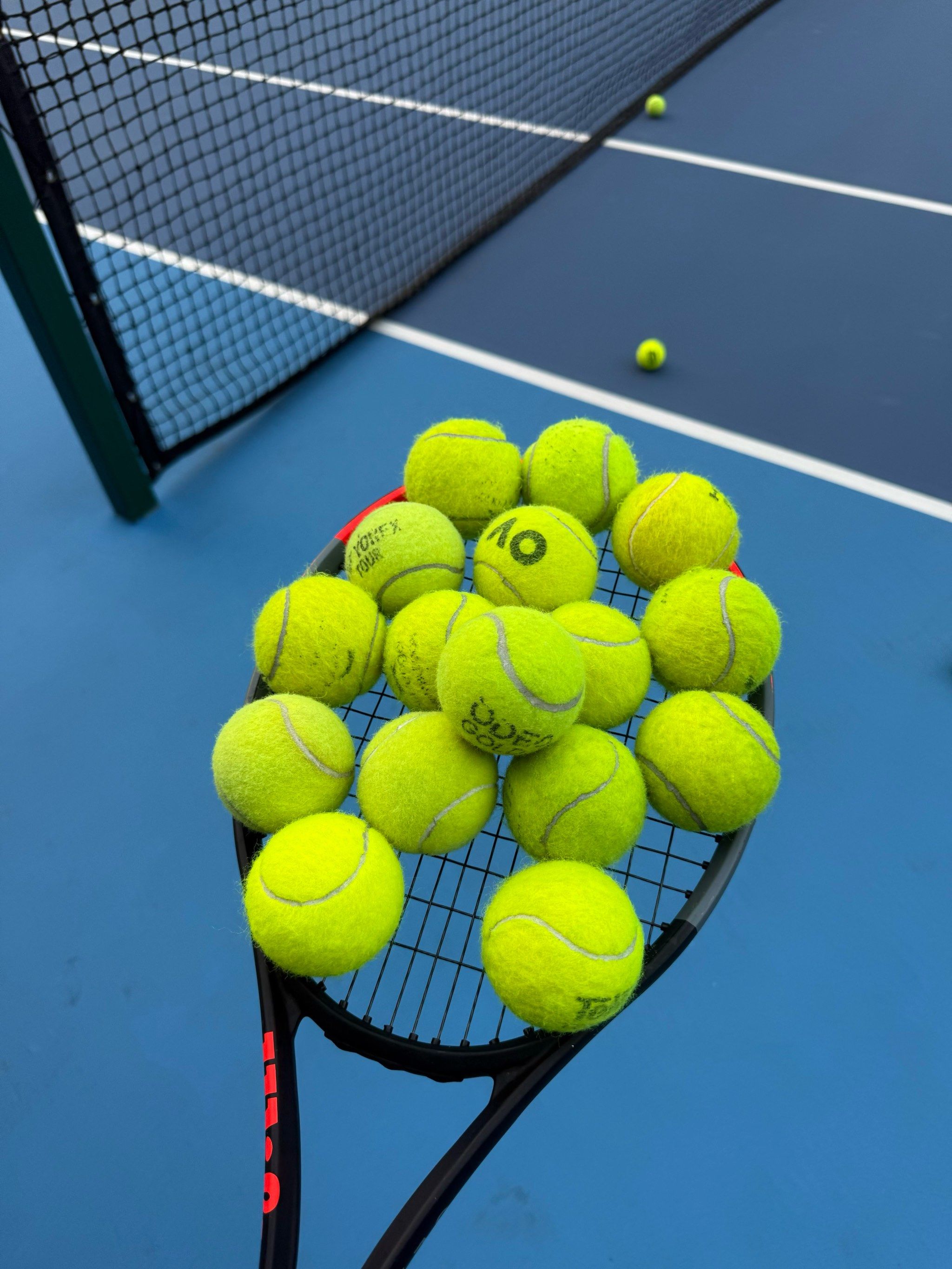 验本地文化 验本地文化